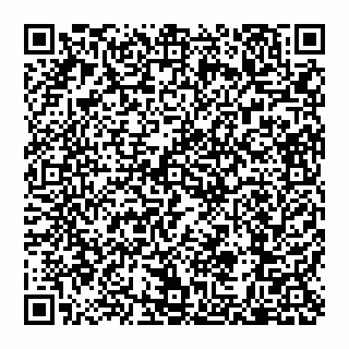 vCard 79110650040