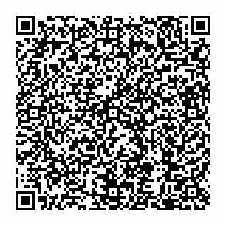 vCard 79110650089