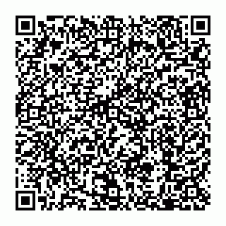 vCard 79110650113