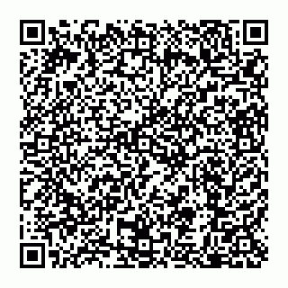 vCard 79110650131