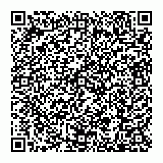 vCard 79110650153