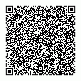 vCard 79110650174