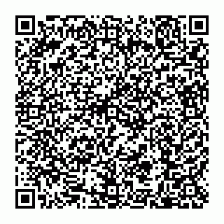 vCard 79110650208