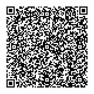 vCard 79110650211