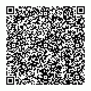 vCard 79110650239
