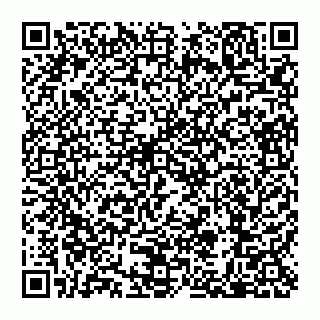vCard 79110650253