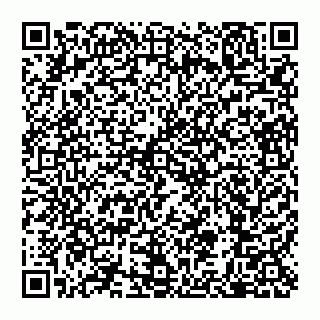 vCard 79110650263