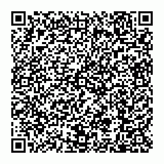 vCard 79110650300