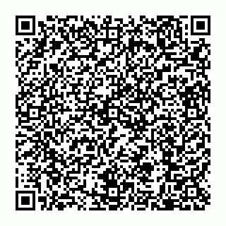 vCard 79110650301