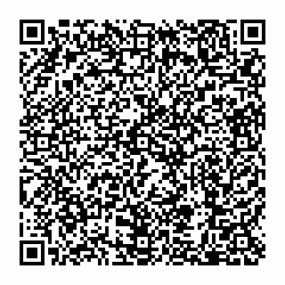vCard 79110650311