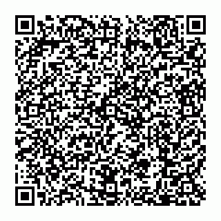 vCard 79110650313