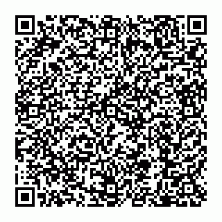 vCard 79110650329