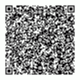 vCard 79110650331
