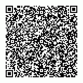 vCard 79110650337