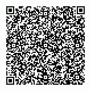 vCard 79110650341