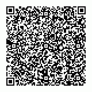 vCard 79110650380
