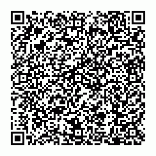 vCard 79110650381