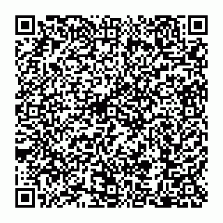 vCard 79110650384