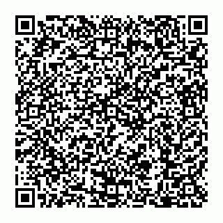 vCard 79110650385