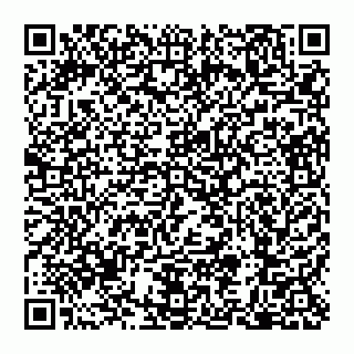vCard 79110650389