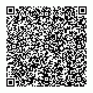 vCard 79110650390