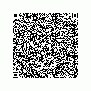 vCard 79110800167
