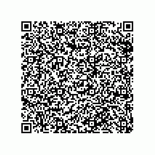 vCard 79110800211
