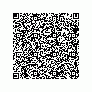vCard 79110800233