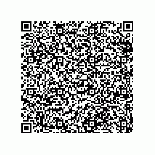 vCard 79110800239