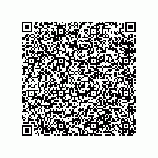 vCard 79110800261