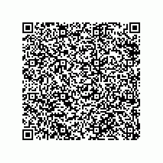 vCard 79110800271