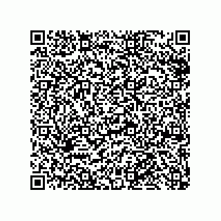 vCard 79110800313