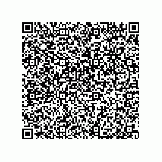 vCard 79110800321