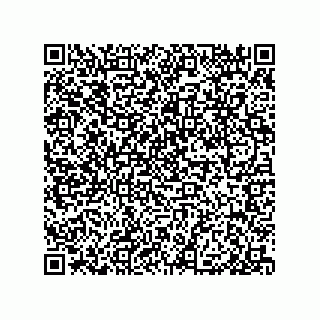 vCard 79110800331