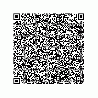 vCard 79110800342