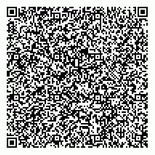 vCard 79111182021