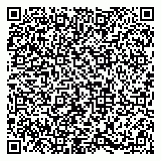 vCard 79113002900