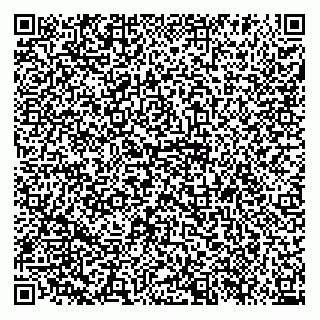 vCard 79113003009