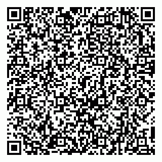 vCard 79113003021