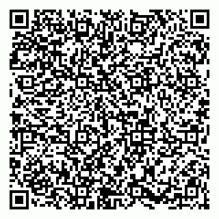 vCard 79113003039