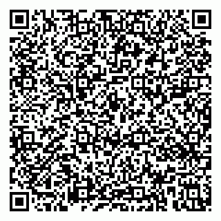 vCard 79113003051