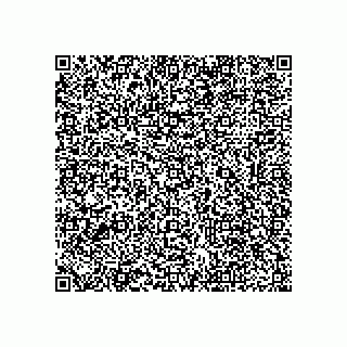 vCard 79113575293