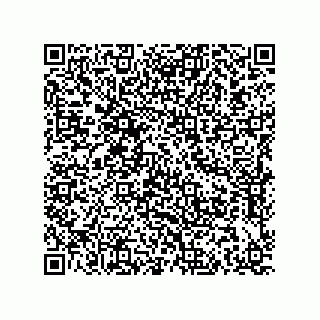 vCard 79114500331