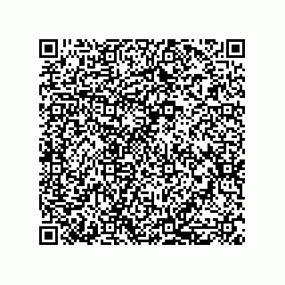 vCard 79117000530