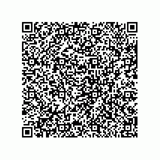 vCard 79117000539