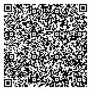 vCard 79118000294