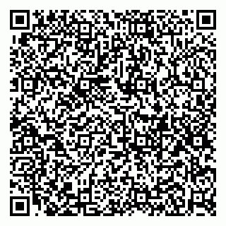 vCard 79118000331