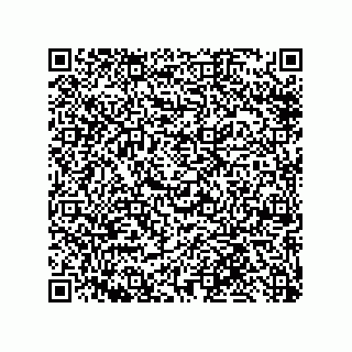 vCard 79119000380