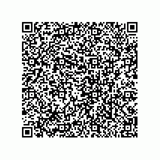 vCard 79119000399