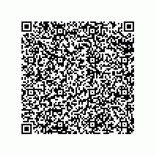 vCard 79120201335
